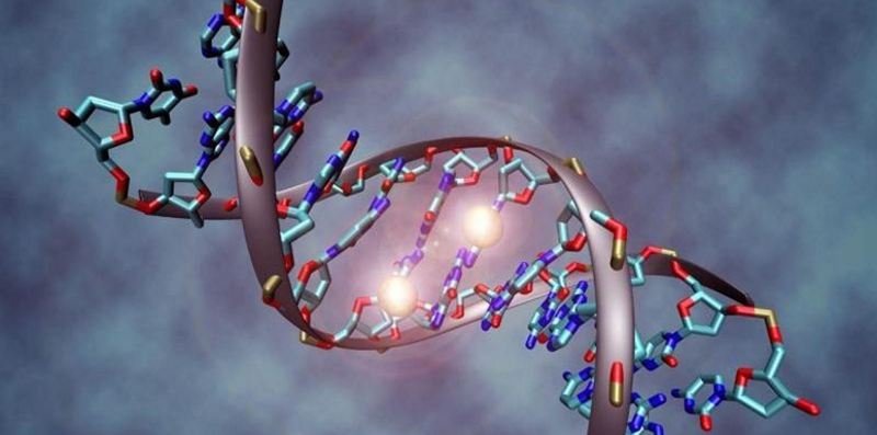 Гены и зависимость: исследование показывает, что генная мутация связана со злоупотреблением